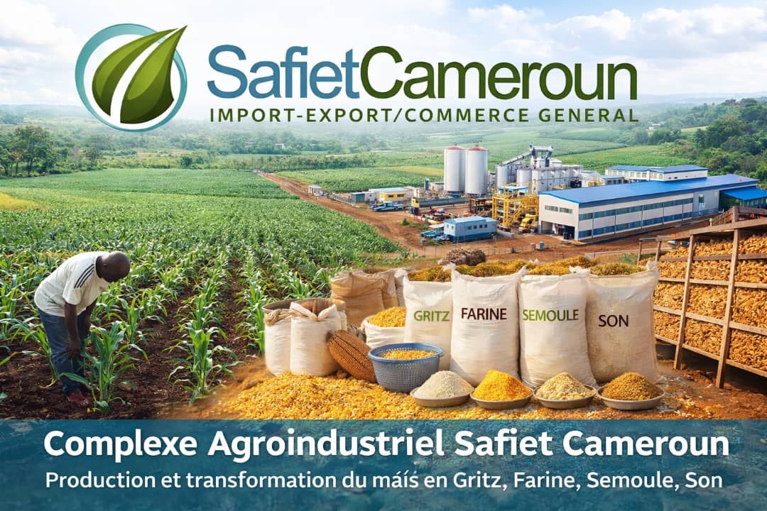 Complexe Agroindustriel Safiet Cameroun — Production et transformation du maïs
